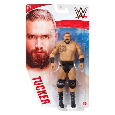 WWE FIGURE ASST GDF62/ GTG22