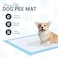 Ultra-Absorbent Blue Pet Training Pads for Dogs, Puppy Trainer Pads, Toilet Pee Wee Dog Pet Cat Mat, Small Size pack of 50