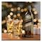 Johnnie Walker Double Black Blended Scotch Whisky 1L
