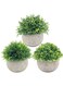 Generic 3-Piece Artificial Plants Set Grey/Green