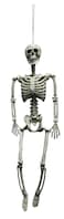 Poseable Skeleton 90cm