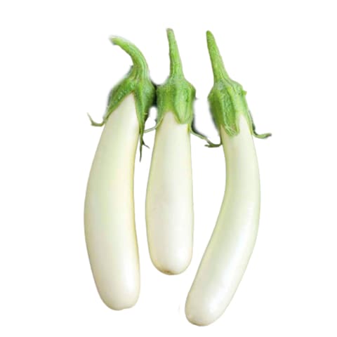 Eggplant White Long