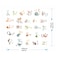 StickieArt - Colourful Animal Alphabets for kids - Wall Decal- Large - 60 x 90 cm - STA-197