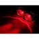 Spartan Tail Light Black