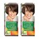 Garnier Color Naturals Hair Colour Cream 6 Dark Blonde 2 PCS