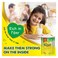 Nestle Nido Grow Fiber Milk Powder 1950g