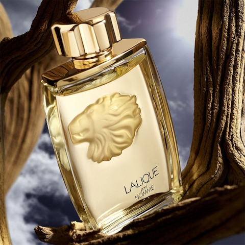 Buy Lalique Pour Homme Eau De Parfum 125ml Online Carrefour UAE