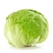 Lettuce Iceberg
