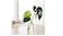Generic Carafe, Clear Glass1.0 L