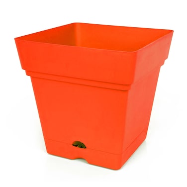 منترا اصيص مربع + طبق - 18 سم