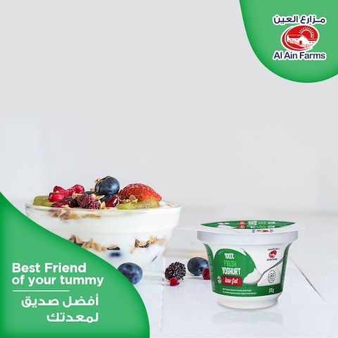 Al Ain Low Fat Fresh Yoghurt 170g