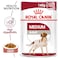 Size Health Nutrition Medium Adult (WET FOOD - Pouches)