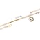 Aiwanto Anklet for Women's Gift Ankle Bracelet Ankle Chain