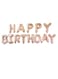 Party Time Happy Birthday Letters Foil Banner Balloons 16inch Rose Gold