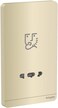 Schneider Electric AvatarOn Gold - shaver socket - 115-230 V - Gold