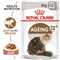Feline Health Nutrition Ageing +12 Gravy (WET FOOD - 12&#39;S)