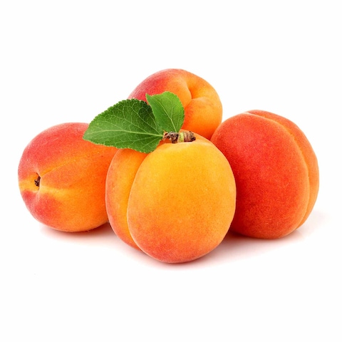 مشمش