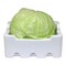 Cabbage Zein Foam Box