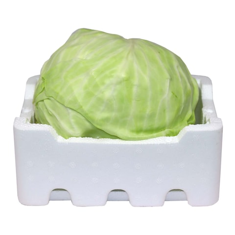 Cabbage Zein Foam Box