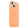 Apple Silicone Case Cover With MagSafe For iPhone 15 Orange Sorbet