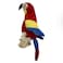 Plush Pet Bird Dog Toy - Multicolor and Design - 2pc