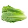 Lettuce Roman Loose 1pc