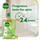 Dettol Antibacterial Floor Cleaner Green Apple Scent, 1.8L