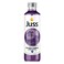 Juss Blueberry Basil Seeds Drink 250ml