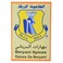 الطاحونة الزرقاء بهارات البرياني 80 غرام