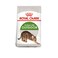 Feline Health Nutrition Outdoor 2 KG
