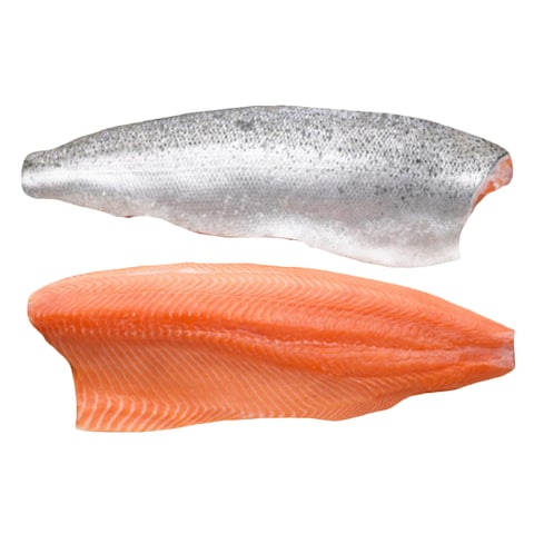Frozen Salmon Fish Fillet