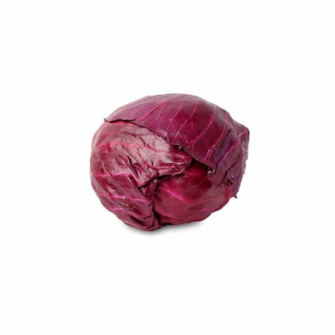 مافا كرنب أحمر