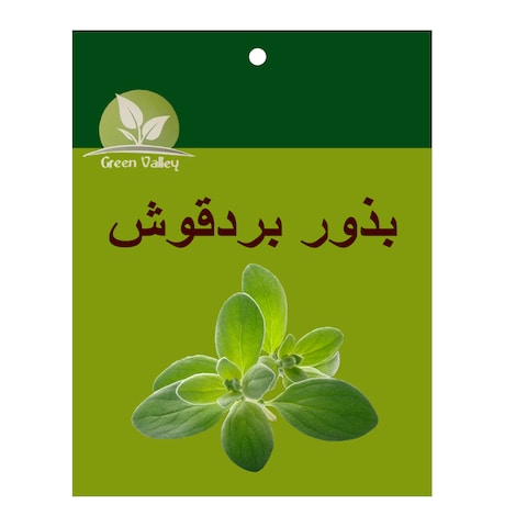 Green Valley Marjoram Seeds - 20 gram