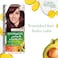 Garnier Color Naturals Cr&egrave;me Nourishing Permanent Hair Color, 4.6, Burgundy