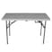Cosmoplast Plastic Folding Picnic Table W/Metal Legs