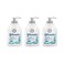 Johnson's Anti-Bacterial Hand Wash 300ml Pack of 3