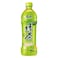Master Kang Green Tea 600Ml