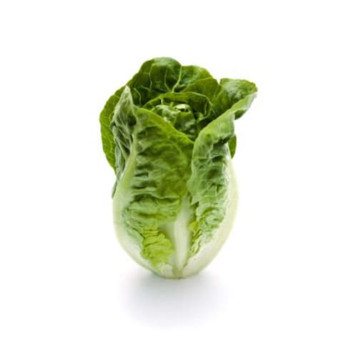 Baby Sucrine Lettuce (Carrefour Quality Line)