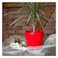 Artevasi San Remo Plastic Pot Red 14cm