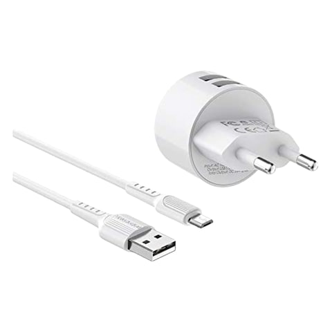 Borofone Dual Charger With Type-C Cable BA23A