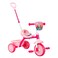 Spartan Paw Patrol Themed Tricycle with Push Bar for Girls Pink