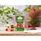 Ahmad Tea Raspberry and Pomegranate Flavoured Green Tea with Fruit Pieces Tea Bags 20 Tea Bags