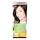 Garnier Color Naturals Hair Color Light Golden Brown 5.3