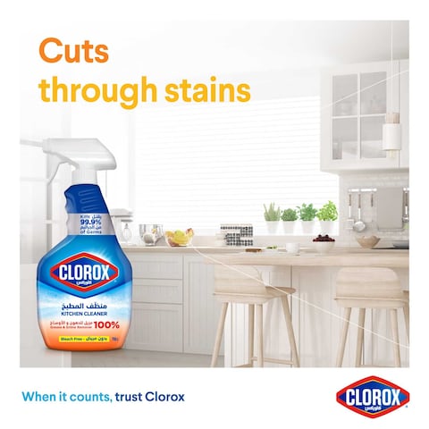 Clorox Kitchen Spray Cleaner Bleach Free 750ml