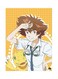 Metal Plate Of The Anime Digimon Poster Multicolour