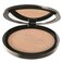 Pastel Professional Advanced Compact Face Powder 11g