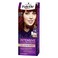 Schwarzkopf Palette Intensive Permanent Hair Color 6-88 Glowing Chestnut 50ml