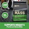 Optimum Nutrition Serious Mass Vanilla Protein Powder 12lb