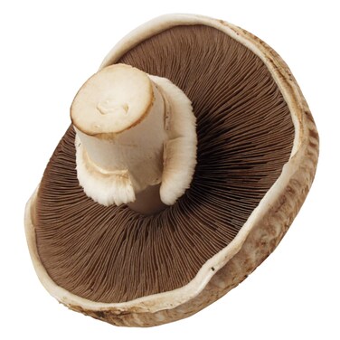 Mushroom Portobello Local 250G