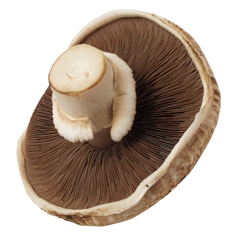 Local Portobello Mushroom 250G